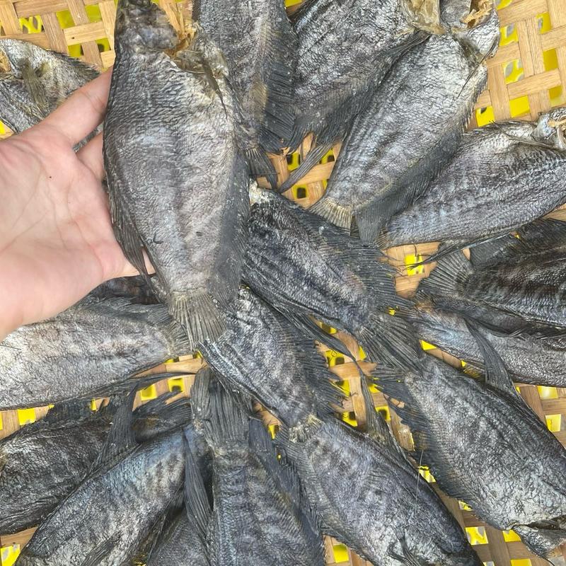 [20-30c 1kg] Khô cá sặc bổi, khô mặn vừa, quý khách ăn Lạt nên ngâm nước.Food
