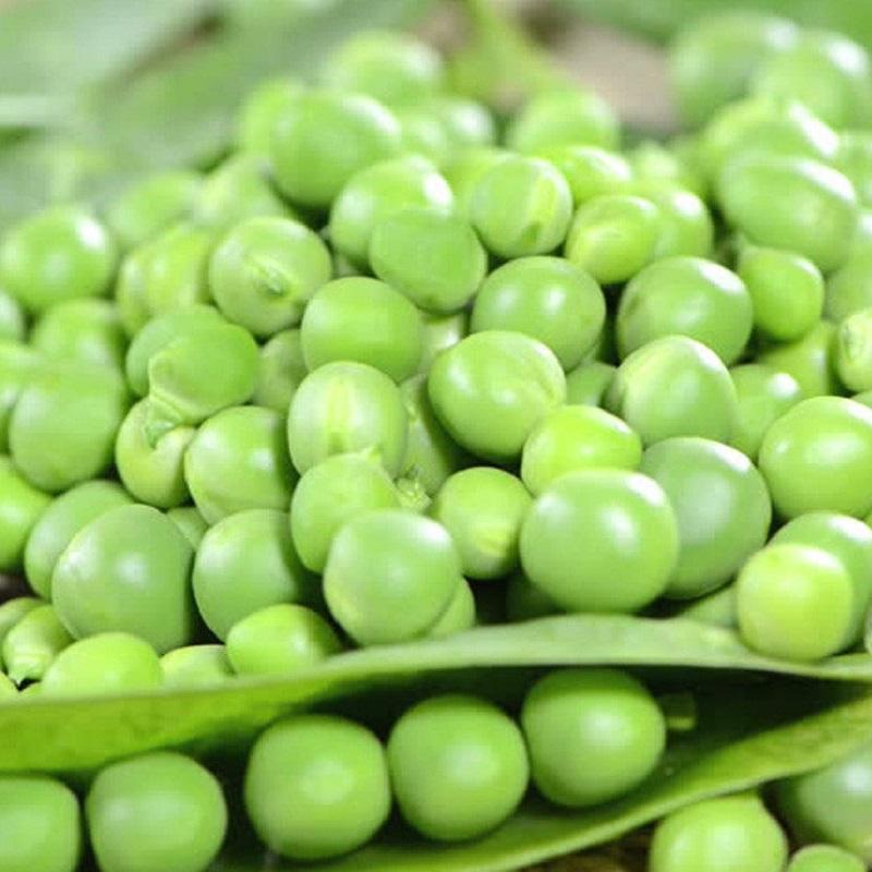 1KG Đậu Hà Lan sống khô hữu cơ nấu ăn làm mầm đậu - Thiên Thảo Organic