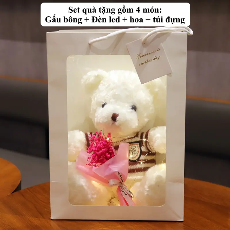 Set túi quà tặng gấu nhồi bông dễ thương, xinh xắn kèm túi xách, đèn, hoa, quà tặng cho các dịp đặc biệt GA02