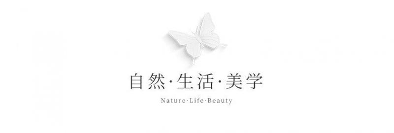 Product Introduction of Bộ Đồ Ngủ Cotton Mùa Xuân Lãng Mạn, Quần Áo Nữ, Phong Cách Mới Mùa Hè, Có Thể Mặc Ngoài Trời, Đồ Mặc Ở Nhà Phong Cách Sọc, Bộ Áo ngắn Tay Và Quần Dài, 1012 Người Thu Thập 6