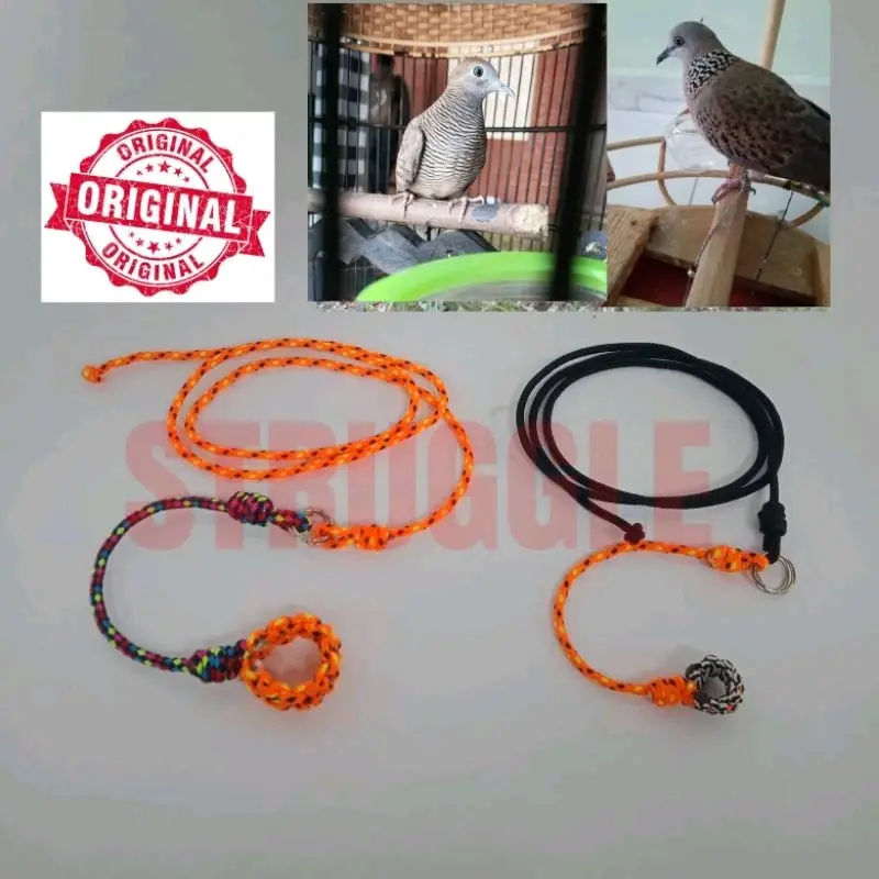 TALI KAKI BURUNG TEKUKUR,RUAK RUAK,KAKAK TUA,BEO,BURUNG HANTU,DLL 3