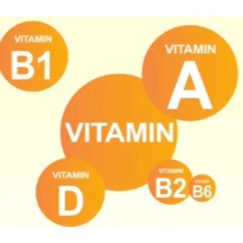 Multi vitamin kucing 30ml 2