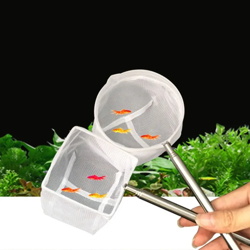 Stainless Fish Net Catch Fish Net Telescopic Goldfish Net Stainless Steel Mesh Fish Tank ...