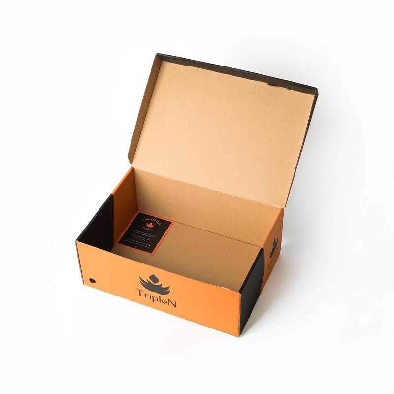Hộp Carton Có Nắp Nhiều Kích Thước, Màu Sắc, Kiểu Dáng Hiện Đại 2