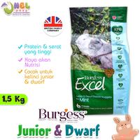 Gambar BURGESS EXCEL JUNIOR & DWARF RABBIT 1,5 KG dari Onel Pets Store Kab. Tangerang 1 Tokopedia