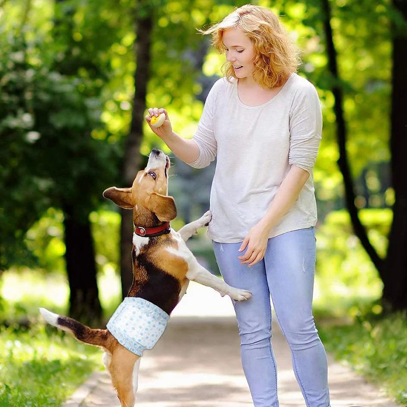 Product Introduction of 10pcs Dog Diapers Males Females Disposable Nappies Pants Physiological Underwear Adjustable Leakproof Breathable Safety Pants 13
