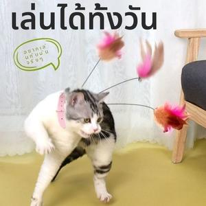 ไม้กายสิทธิ์ทีเซอร์แมว, ของเล่นแมว, ความบันเทิงสำหรับตัวเอง, บรรเทาความเบื่อหน่าย, เล่นสัตว์เลี้ยง, ปลอกคอขนนกอัตโนมัติ, คอลเลกชันสิ่งจำเป็นในการหยอกล้อแมว