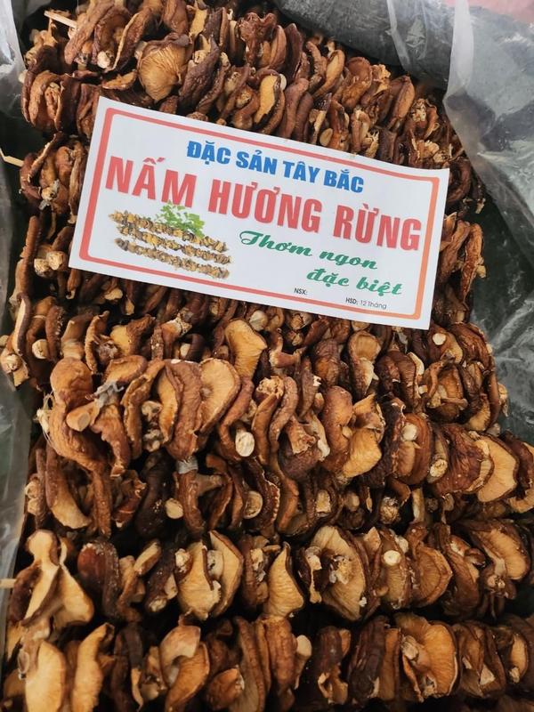 500gr Nấm Hương Rừng-Đặc sản tây bắc Food