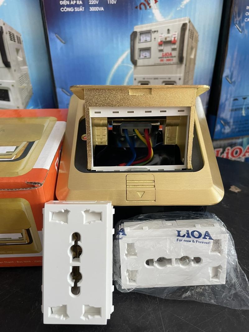Product Introduction of Mặt ổ cắm âm sàn LIOA (LP001) 8