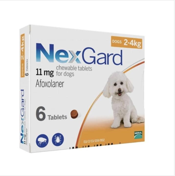 Sản phẩm diệt ve ghẻ, bọ chét trên chó Nexgard_Olong Studio