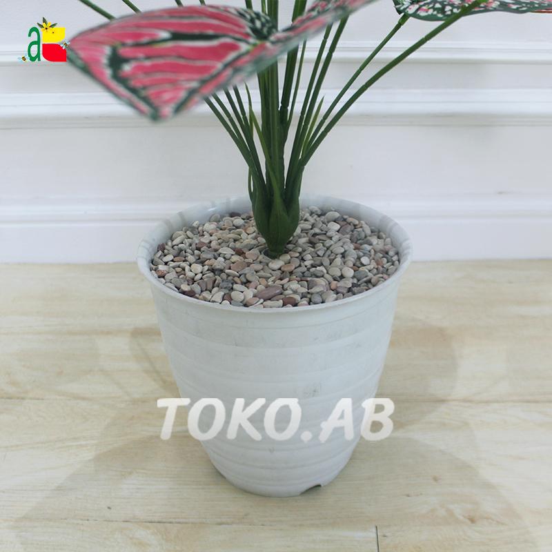 TANAMAN ARTIFICIAL AGLONEMA bunga palsu KELADI DAUN PLASTIK 18 CABANG D18T60 HIASAN RUANG TAMU DEKORASI RUMAH AESTHETIC B8180 7