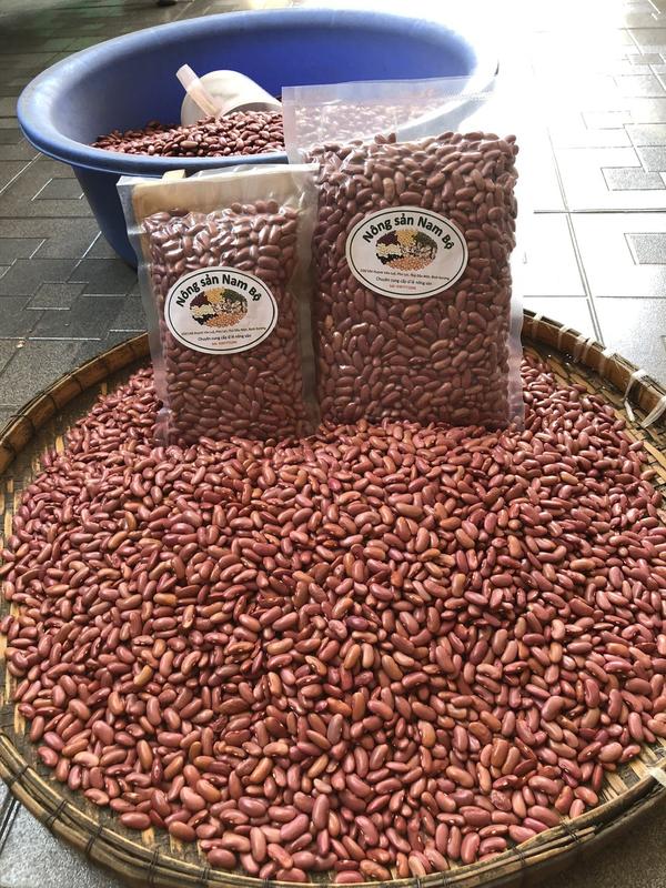 Đậu đỏ tây - Đậu Kidney (đậu thận) Quảng Nam thơm bùi chất lượng