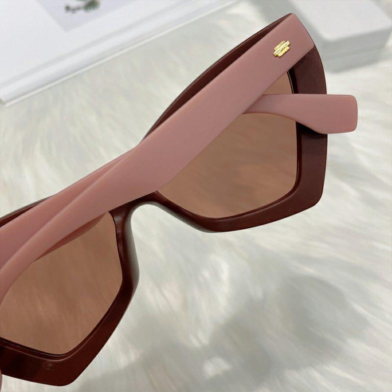 Product Introduction of Red Cat Eye Sunglasses Women New Fashion Style Triangle Shades Clear Candy Color Eyewear Vintage Sun Glasses for Women Fashion 5