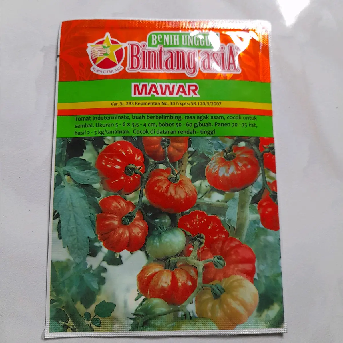 Benih Biji Tomat mawar isi 100 biji