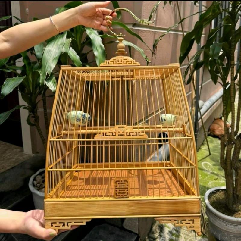 Khung tự ráp lồng chào mào tre già size 37 Phụ kiện lồng chim anh quân