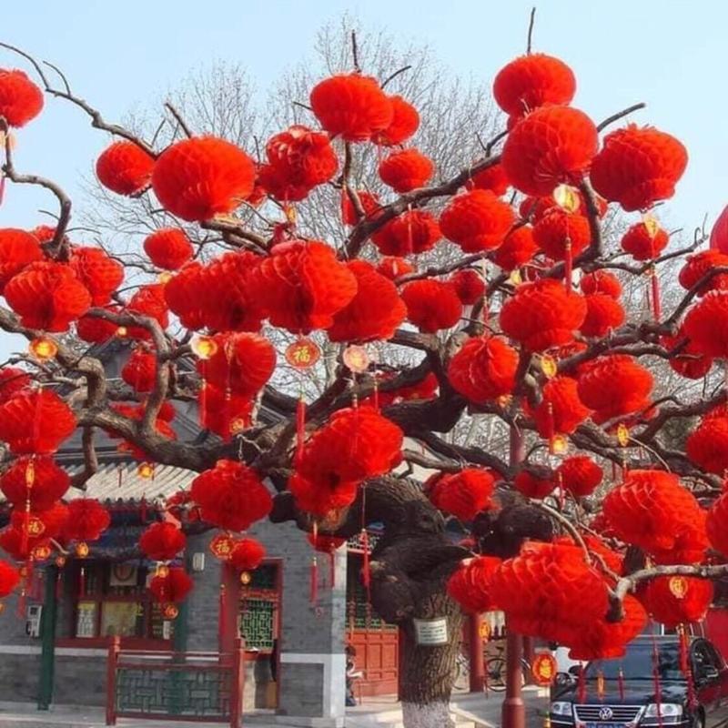 [Set 10 cái ] Lồng đèn đỏ trang trí trung thu, Trang trí tết nhiều kích thước 1