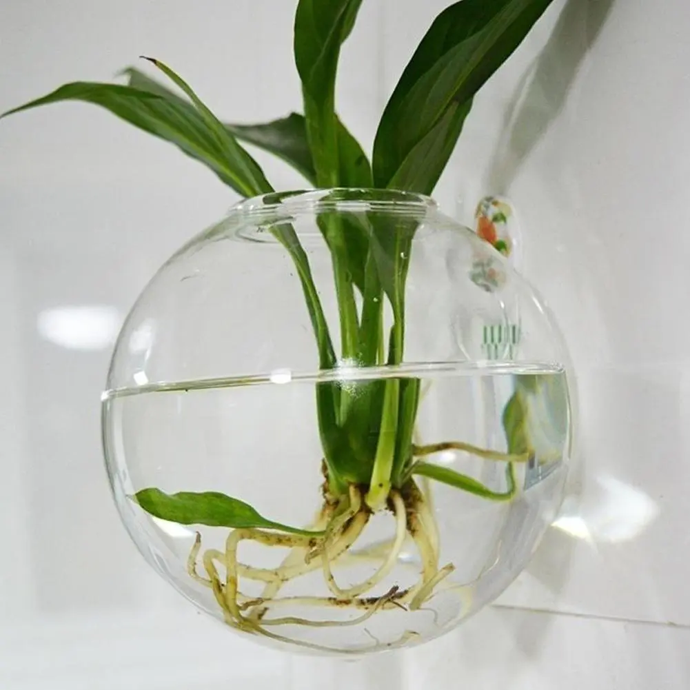 Bình Kính Treo Tường, Thiết Kế Sáng Tạo, Để Trang Trí Phòng Thủy Canh, Treo Bể Cá, Treo Tường Phòng, A2S5