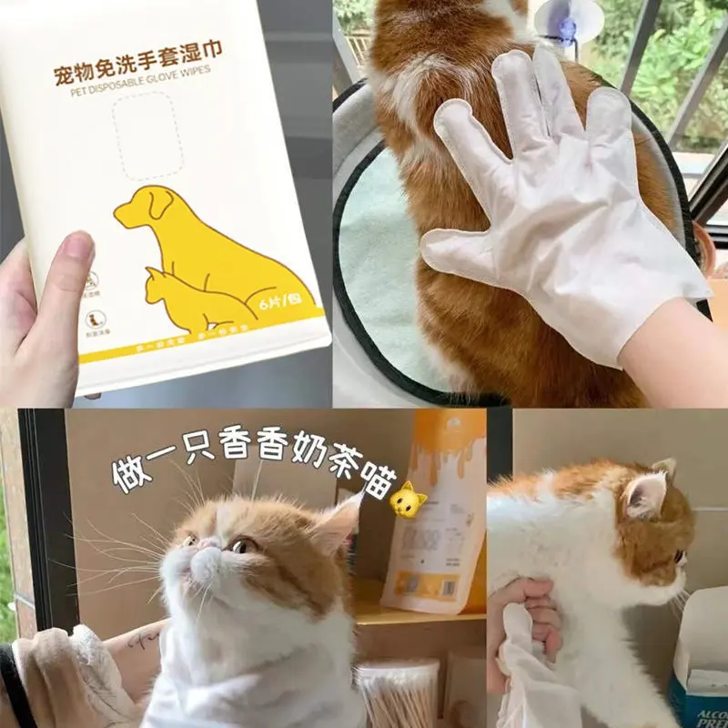 Túi 6 Găng Tay Tắm Khô Dùng Một Lần Dành Cho Chó Mèo, Giúp Làm Sạch Lông Mượt Lông găng  tay 6