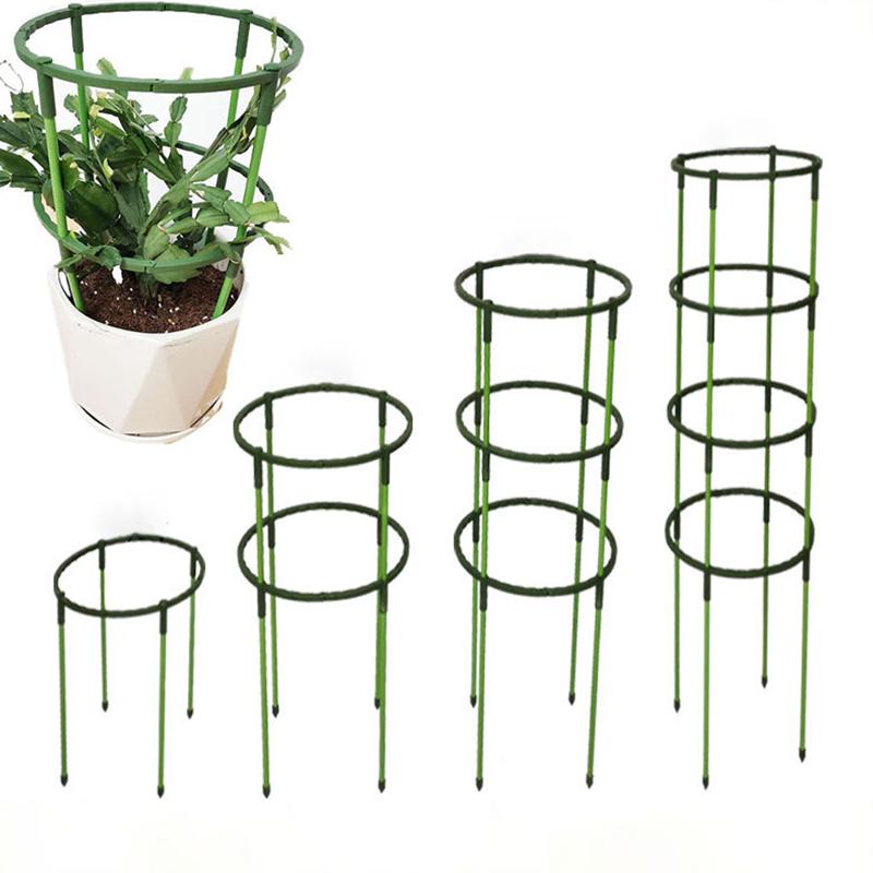 Product Introduction of Plant Support Pile Stand Climb for Flowers Grow Greenhouses Support Fixing Rod Plant grow Holder Orchard Garden Bonsai Tools 18