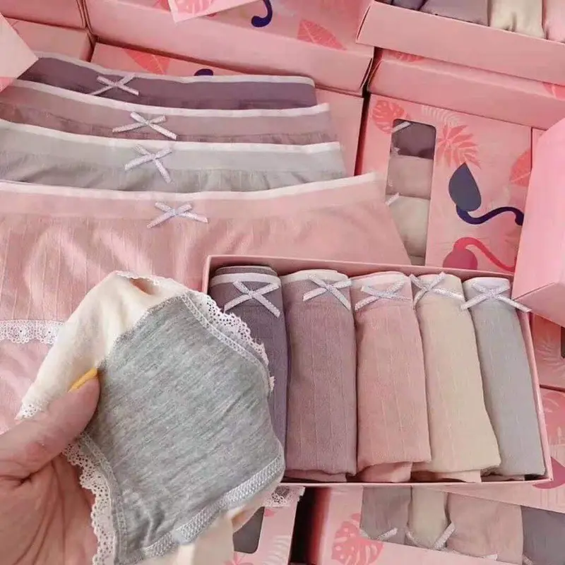 Hộp 5 Quần Lót Nữ Hồng Hạc, Quần Chip Nữ, Hộp 5 quần chíp nữ cotton hồng hạc co dãn 4 chiều 1