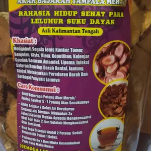 akar bajakah merah