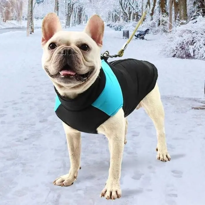 GMGY Baju Hangat Anjing Pet Warm Cotton Vest Waterproof GI363K 0