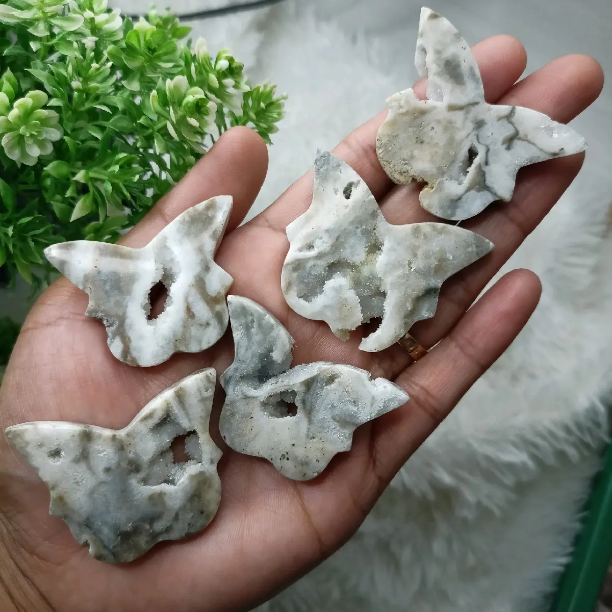 Butterfly Druzy Zebra, Crystal, Druzy crystal
