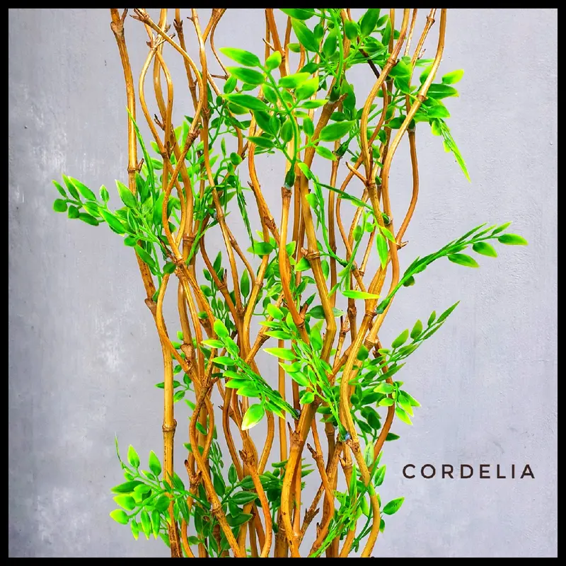 10 Batang Bambu Ulir Natural Daun Cordelia (Tidak Termasuk Vas/Pot) 2