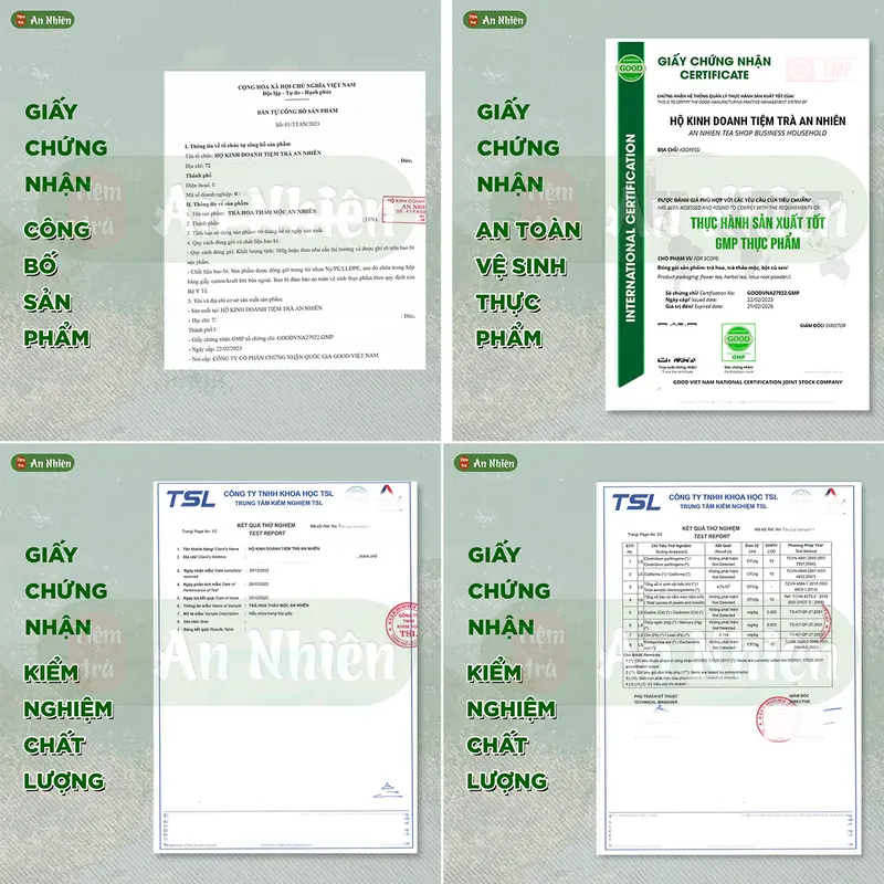 [COMBO MUA 1 TẶNG 2 ] 1 hộp trà lớn + 1 bình pha trà + 1 túi giấy 3