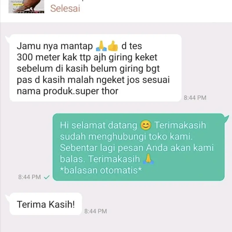 Jamu Merpati Superthor isi 120 butir 4