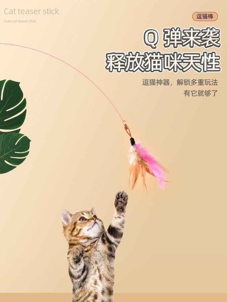 Product Introduction of Đồ Chơi Mèo, Thiết Kế Hình Mèo Vui Nhộn Dụng Cụ Hữu Ích, Có Lông Vũ Và Chuông, Que Vít Thép Siêu Dài, Đầu Trêu Chọc Mèo, Có Thể Nạp Lại, Giảm Tương Tác, Bán Chạy Trong 30 Ngày, 4931 Mảnh 7
