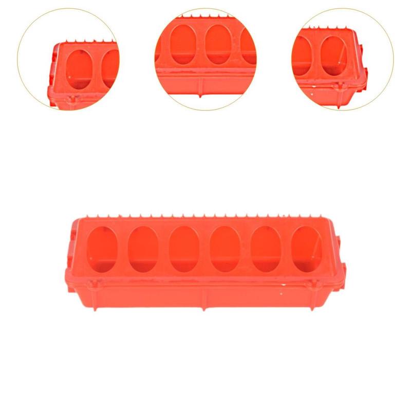 Product Introduction of Poultry Feeder Multihole Flip Top Chicken Feeder for Quail Pigeons Budgies 2
