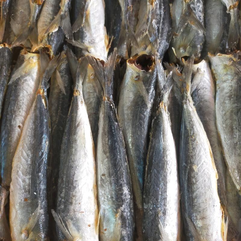  1kg Cá Nục Khô Ngon  vị nhạt Food Haisancoly 