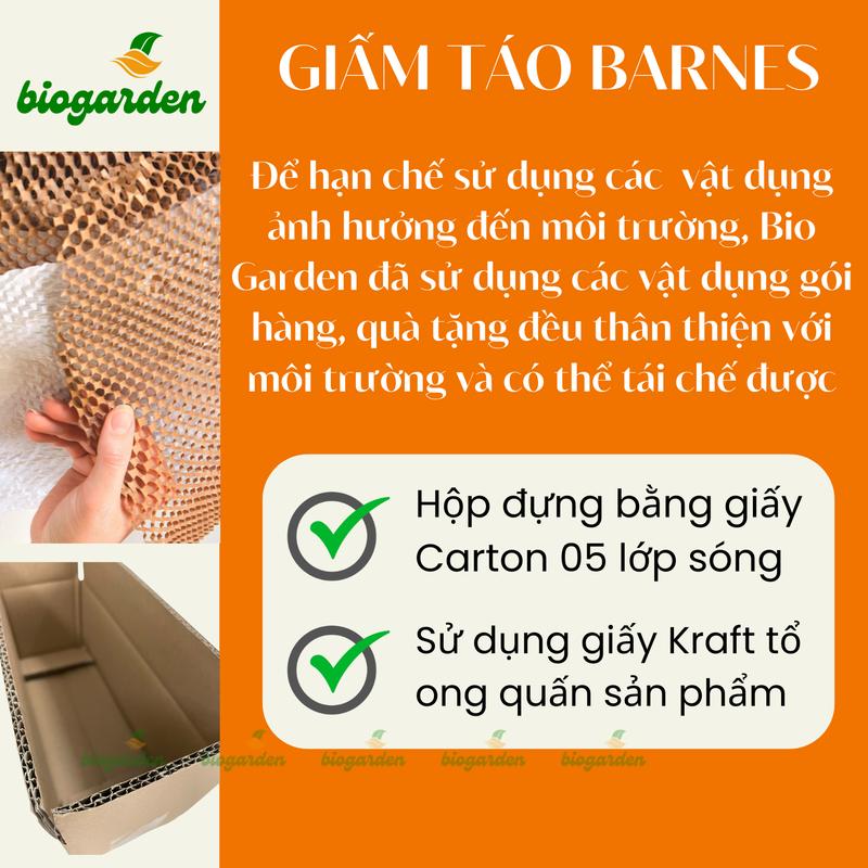 Product Introduction of Giấm táo hữu cơ nguyên chất (có giấm mẹ) chai 500ml Barnes Naturals - Hỗ Trợ Tiêu Hoá - Giảm Mùi Hôi 26