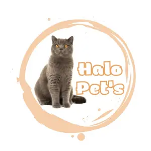Halo Pet