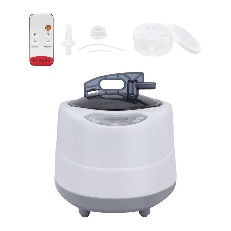 2L Sauna Steamer US Plug 1000W 220V/50Hz Fumigation Steam Machine Multifunctional Large Capacity Steam Generator Steam Pot 3
