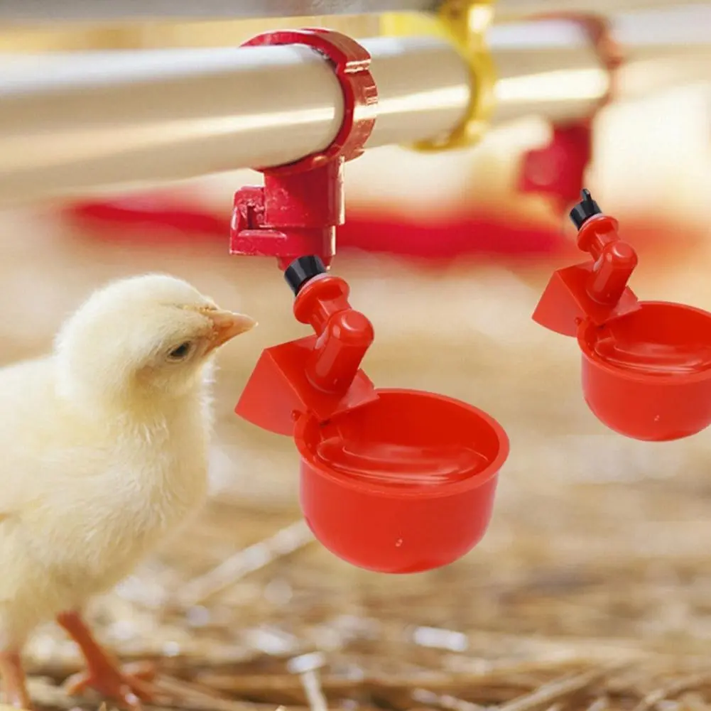 Automatic Poultry Drinking Bowl,Poultry Automatic Drinking Bowl Water Automatic Dispenser, I9Q9
