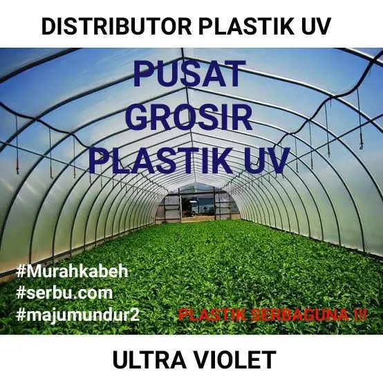 1 ROLL PLASTIK PE COR UV KOLAM 06 panjang 25 M x L 100cm (2 lapis ) 1