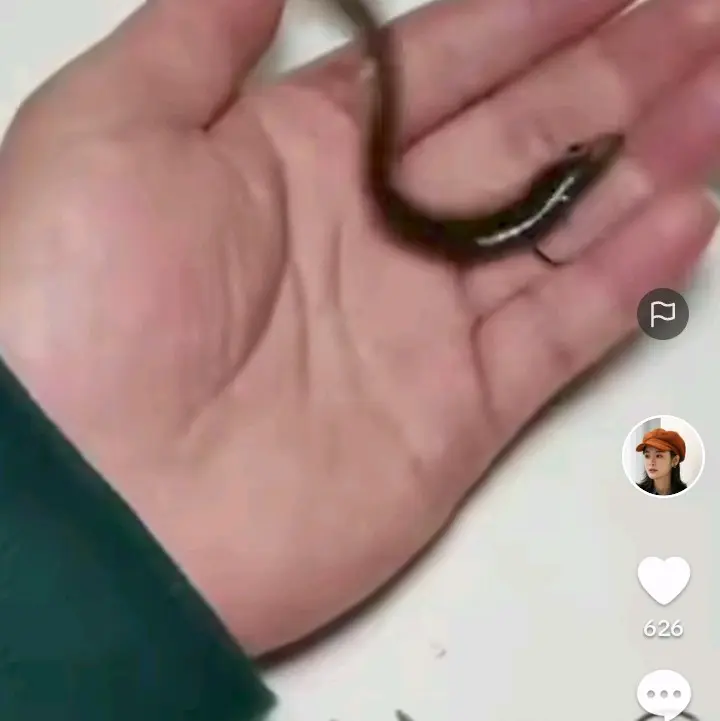 untuk hobi mancing kakap unpan karet 1