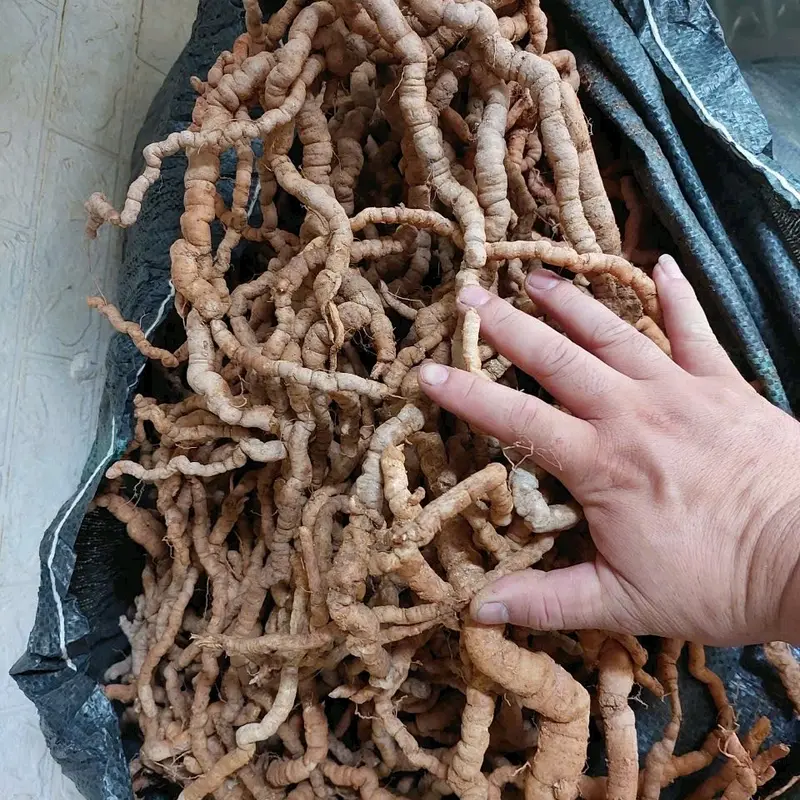 1kg trà 3 ki/ch tím Việt tách bỏ lõi 1