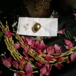 koleksi keong emas unik