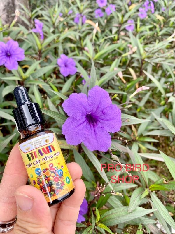 Product Introduction of Vitamin Trái Cây Tổng Hợp Chim Cảnh VĂN TOẠI 7