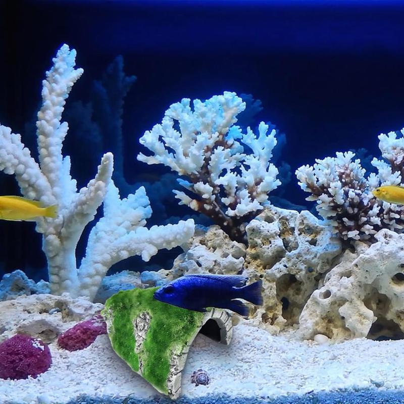 Cichlid fish tank decorations best sale