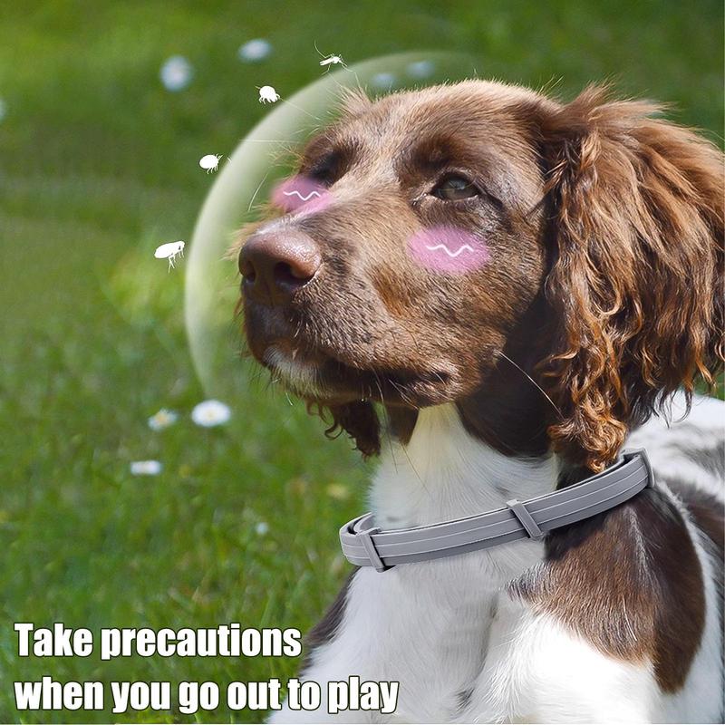 Product Introduction of Adjustable Dog Flea & Tick Collar, 2/3 Counts Waterproof Dog Flea & Tick Collar, Pet Supplies for Dogs & Cats, Dog & Cat Accessories 2