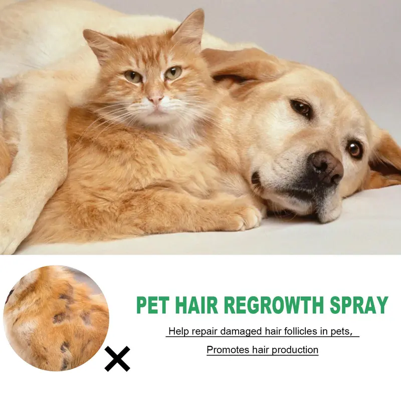 Pet Hair Regrowth Spray, Hair Stengthening Spray for Dogs & Cats, Pets Hair Care Product 2