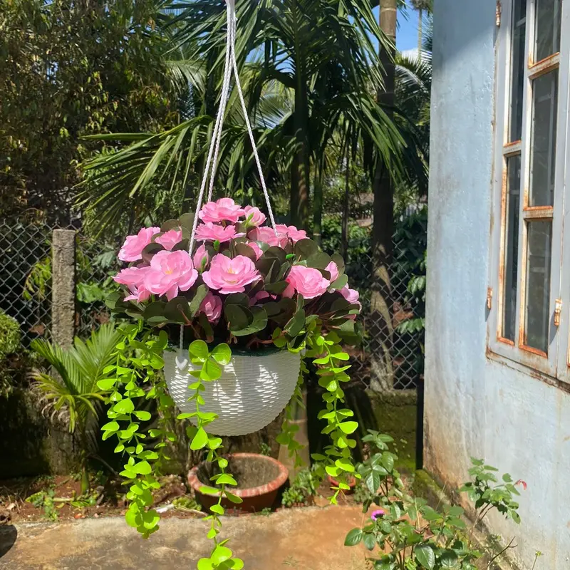 Combo chậu hoa đỗ quyên kèm chậu nhựa tròn cắm sẵn, mix lá rủ trang trí decor… Decor Phòng Trang Trí Nhà, ban công, lan can, quán cà phê, nhiều không gian xinh xắn hoặc phân khúc bình hoa đỗ quyên để bàn kèm chậu nhựa cắm sẵn cao 25-30cm 7