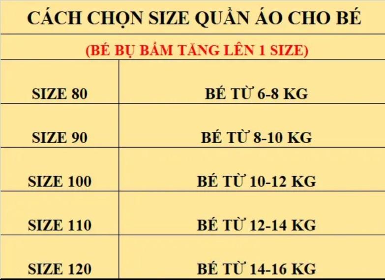 Product Introduction of Combo 2 bộ quần áo cọc tay cho bé gái từ 6-16 kg 0