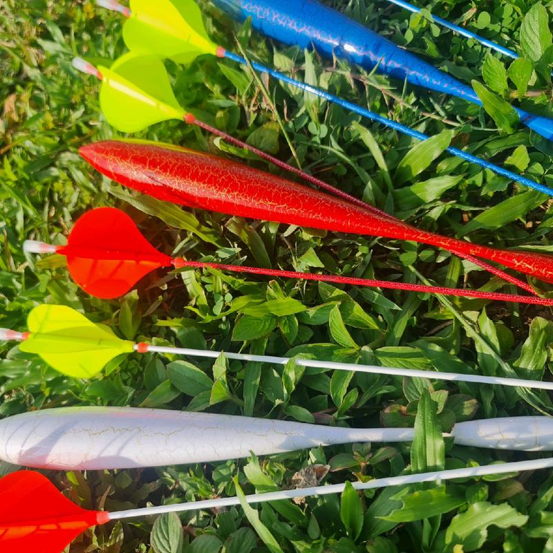 phao câu lục xa bờ Sơn Nứt 2 ngọn Đi Câu Fishing 0
