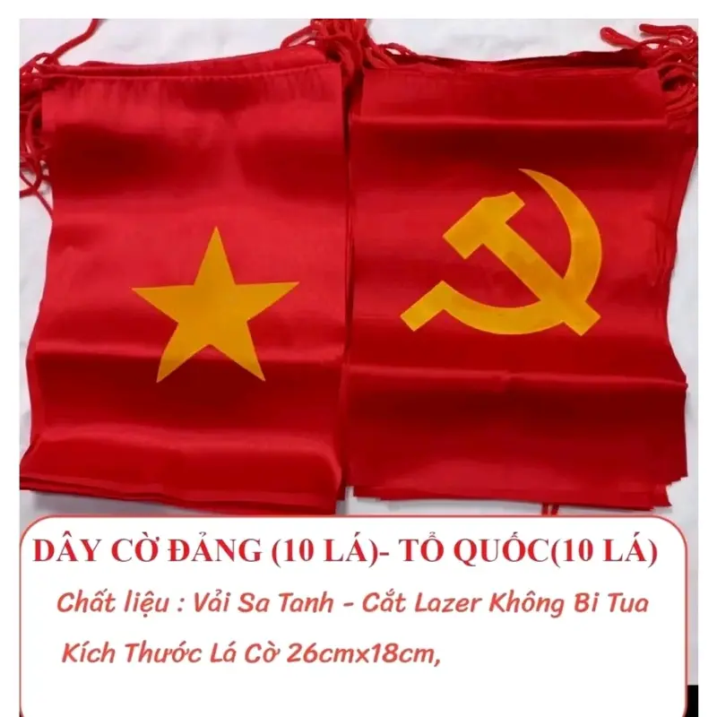 Cờ dây trang trí cuộn cờ dây 10m 4