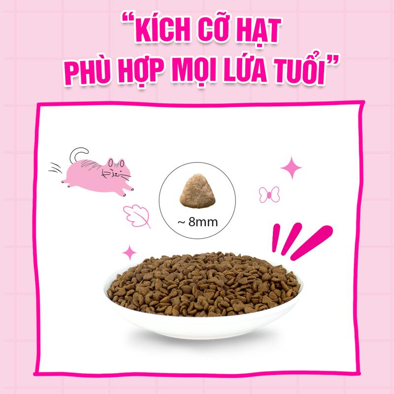 (1kg) Wonder Cats - Thức ăn hạt CHO MÈO MỌI LỨA TUỔI nhập khẩu Hàn Quốc 5